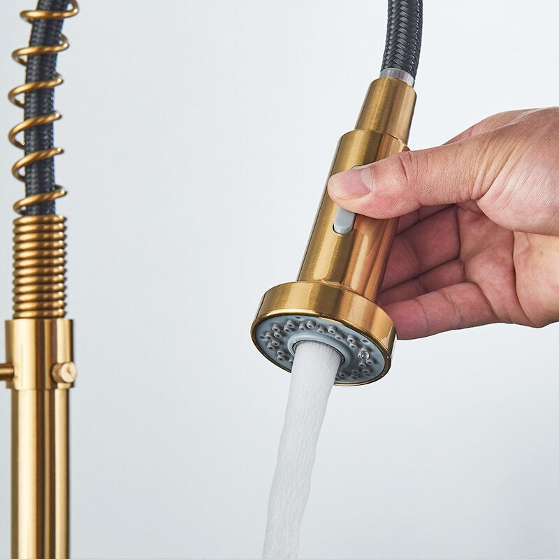 Pull Down Spring Spout Kitchen Faucet