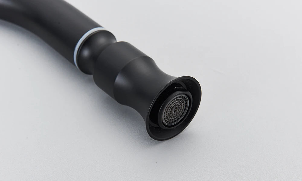 Matte Black Pull-Down Kitchen Faucet