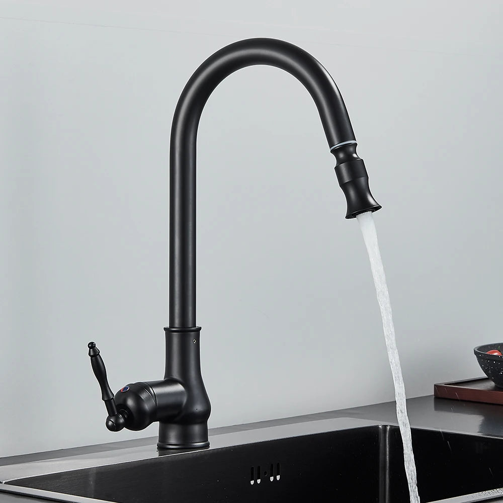 A sleek, modern Matte Black Pull-Down Kitchen Faucet by Rozin, featuring a high-arc spout and a single lever handle, mounted on a stainless steel sink against a light gray background, exemplifies contemporary design akin to that of stylish bathroom faucets.