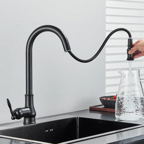 Matte Black Pull-Down Kitchen Faucet