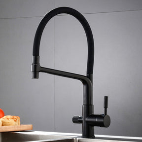 Solid Brass Kitchen Faucet With Filtered Water Tap | AllFixture