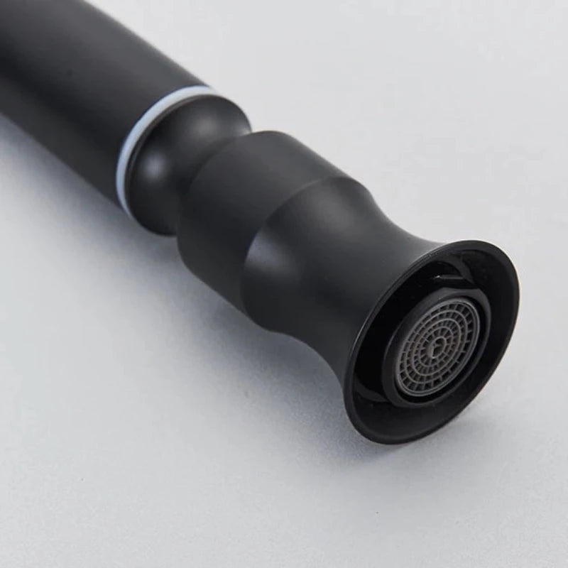 Matte Black Pull-Down Kitchen Faucet