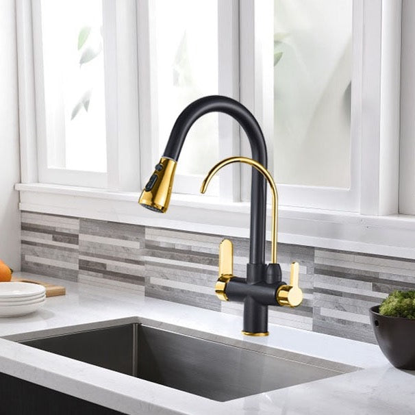 Solid Brass Kitchen Faucet With Pull Out Sprayer & Filtered Water Tap