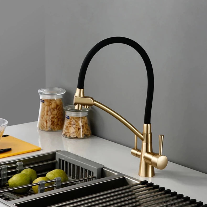 Wasser™ Solid Brass Kitchen Faucet With Filtered Water | AllFixture