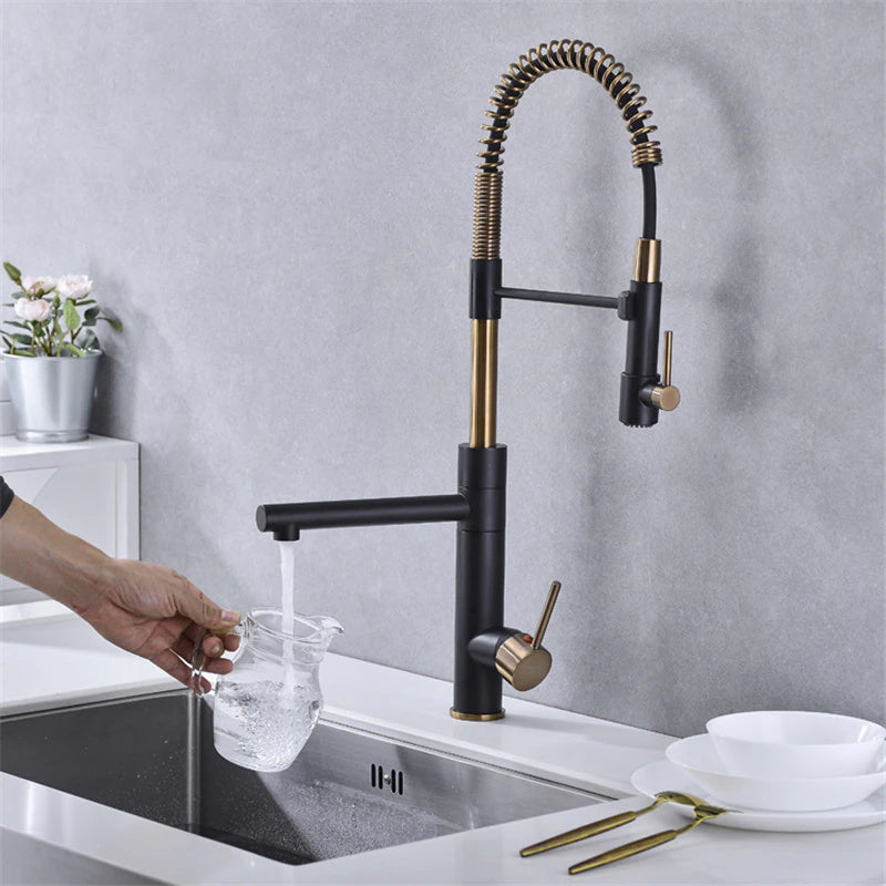 Tiqui™ Single Handle Pull Out Spout Kitchen Faucet