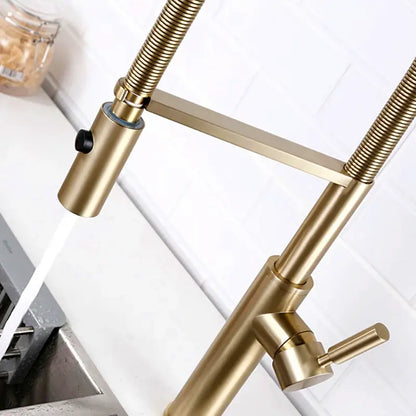 Single Handle Pull Out Spout Kitchen Faucet