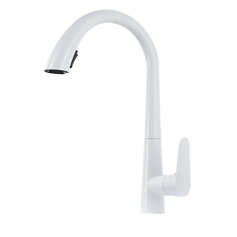 Single Lever Pull Out Spring Spout Faucet