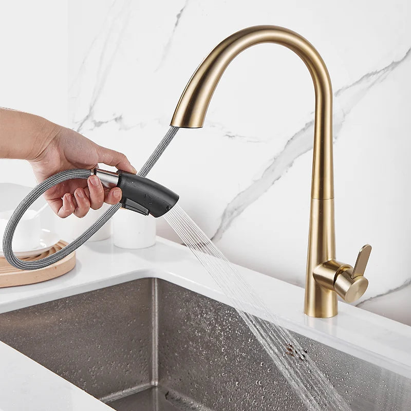 Single Lever Pull Out Spring Spout Faucet