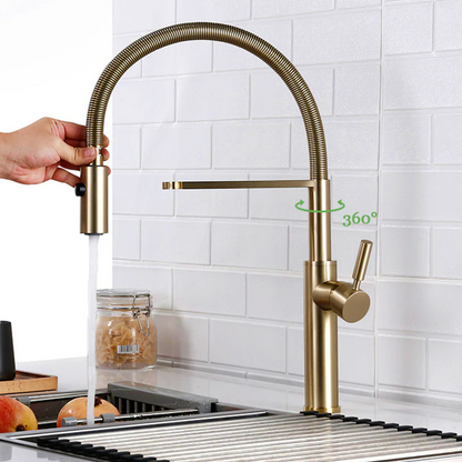 Single Handle Pull Out Spout Kitchen Faucet