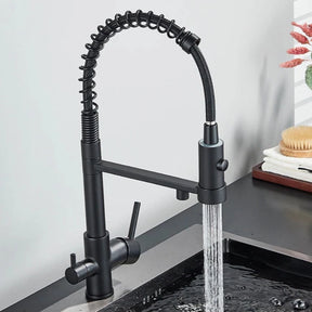Wasser™ Pull Down Spring Kitchen Faucet With Filtered Water Tap