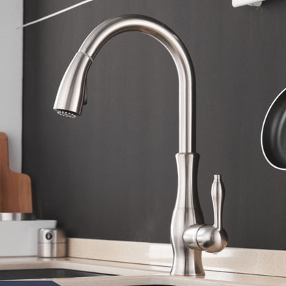 Multitask Pull Out Spout Kitchen Faucet