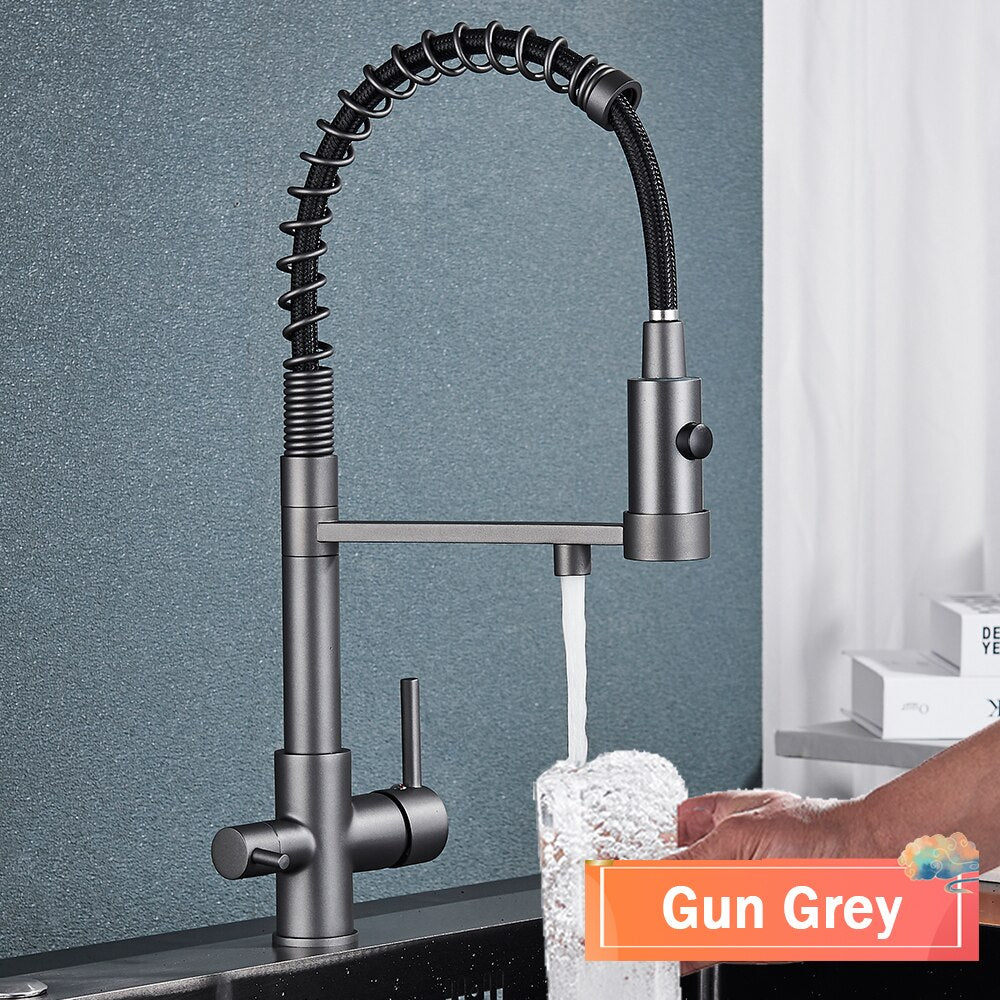 Wasser™ Pull Down Spring Kitchen Faucet With Filtered Water Tap