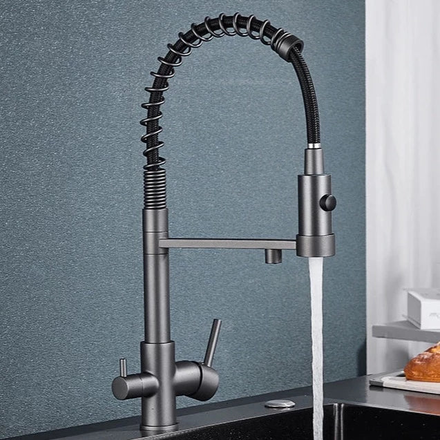 Wasser™ Pull Down Spring Kitchen Faucet With Filtered Water Tap