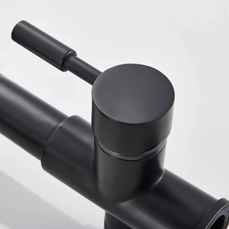 Matte Black Kitchen Faucet With Filtered Water Tap