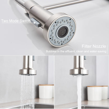 Double Handle Pull-Out Spout Kitchen Faucet