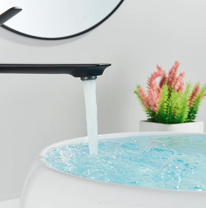 Wasser™ Solid Brass Bathroom Sink Faucet