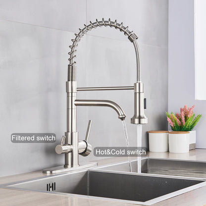 Double Handle Pull-Out Spout Kitchen Faucet