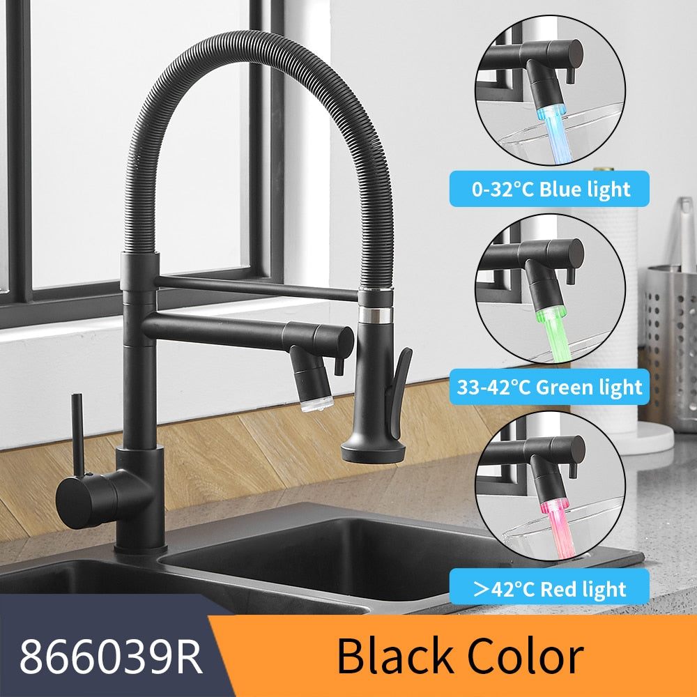 Single Handle Double Spout LED Kitchen Faucet