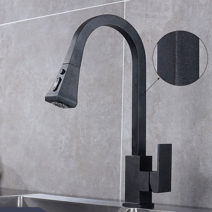 Wanfan™ Pull Out Kitchen Faucet