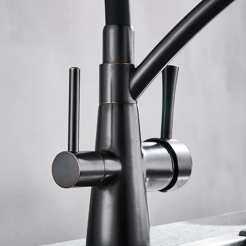 Windsor Kitchen Faucet With Purified Water Tap – Dual Handle | AllFixture