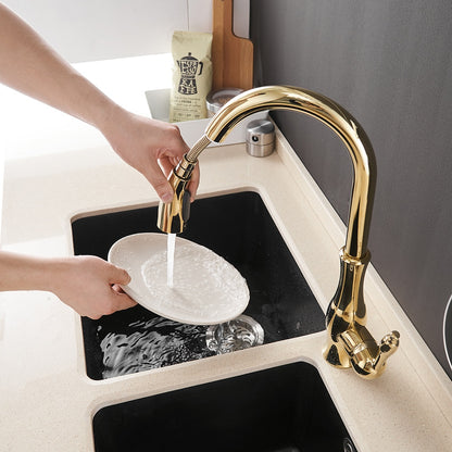 Multitask Pull Out Spout Kitchen Faucet