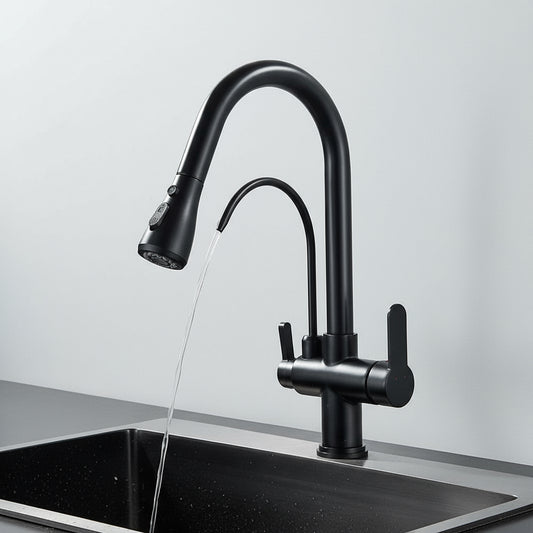 The Rozin Brass Kitchen Faucet With Filtered Water Tap features a matte black finish, dual handles, a detachable spray head, and a separate tap for filtered water—combining pure hydration with modern style over your stainless steel sink.