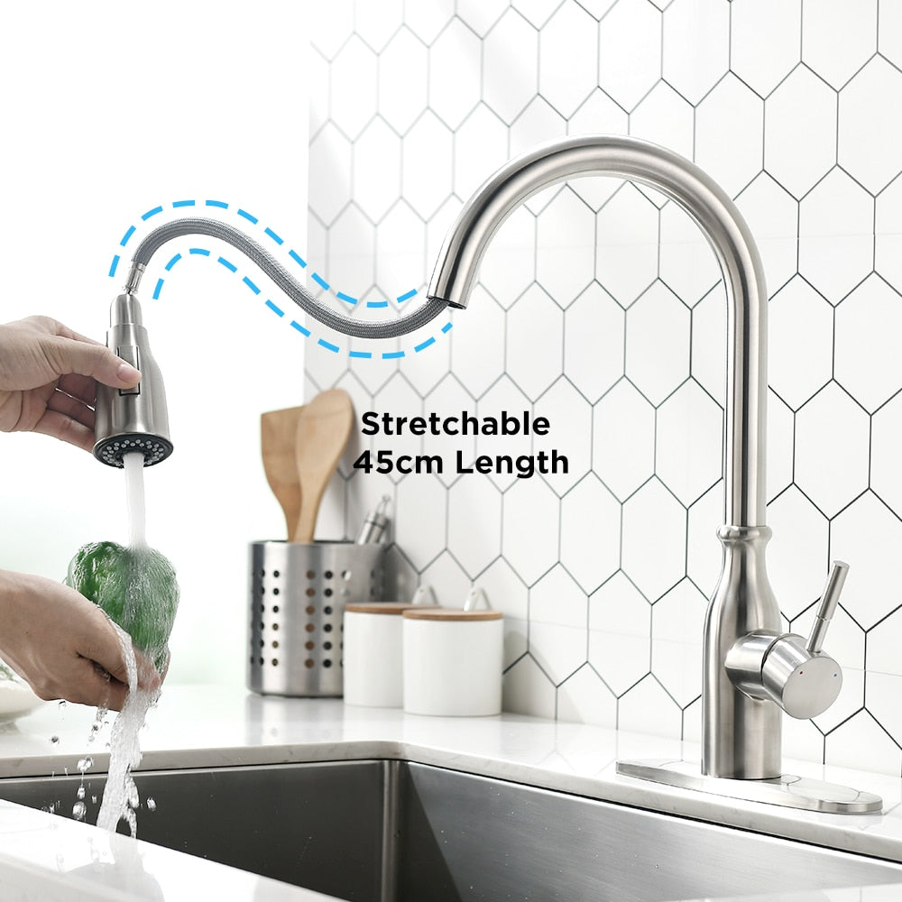 Multitask Pull Out Spout Kitchen Faucet