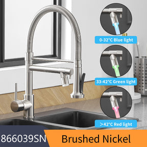 Single Handle Double Spout LED Kitchen Faucet