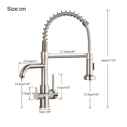 Double Handle Pull-Out Spout Kitchen Faucet