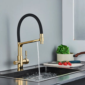 Solid Brass Kitchen Faucet With Filtered Water Tap